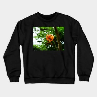 Carolina lily upside down flower Crewneck Sweatshirt